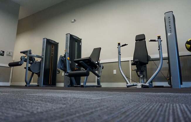 Strength training equipment is also part of the 24 hour fitness center.