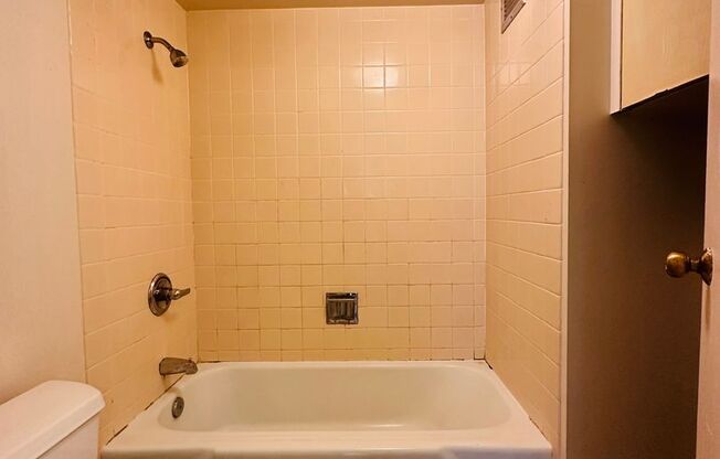 Studio, 1 bath, $1,550