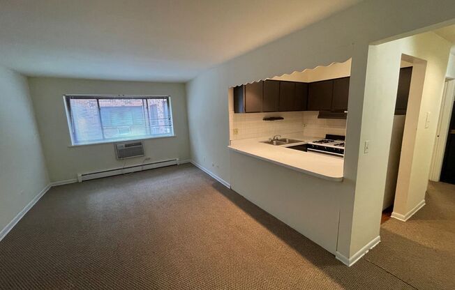 Studio, 1 bath, 400 sqft, $1,425, Unit 421-#401