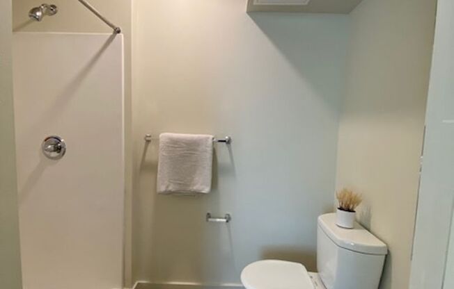 Studio, 1 bath, 175 sqft, $1,495, Unit 501