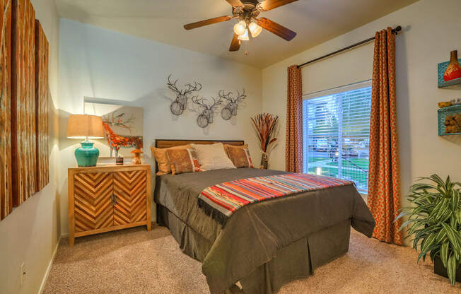 Bedroom with large windows at Arterra, Albuquerque, 87113