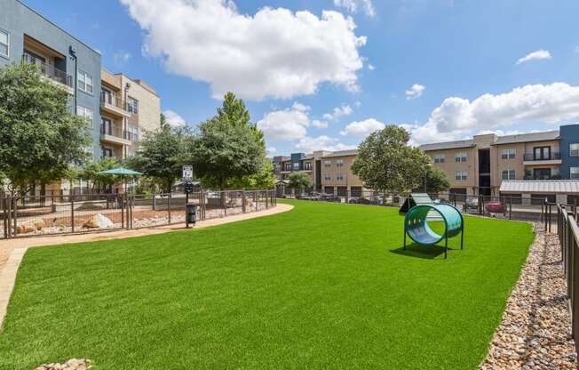 the preserve at ballantyne commons yard with playground and green grass