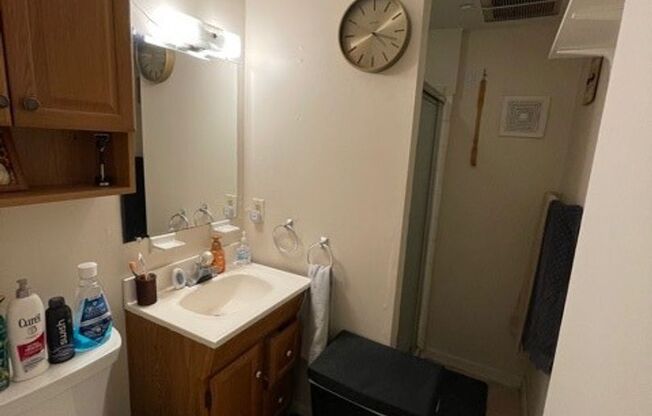 Studio, 1 bath, $1,100, Unit 99-3A