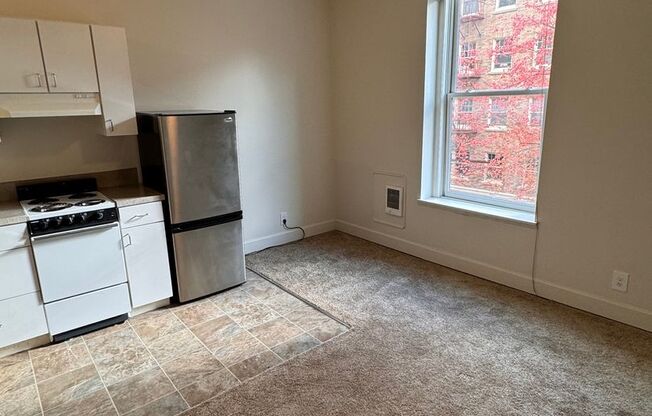 Studio, 1 bath, 240 sqft, $850, Unit 207