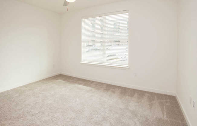 Carpeted Bathroom