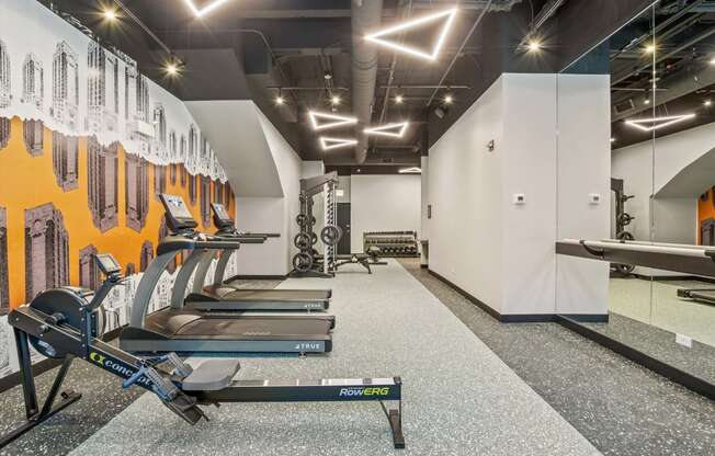 the gym is equipped with cardio equipment and weights