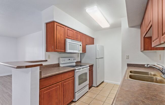 1 bed, 1 bath, 736 sqft, $1,500, Unit 2084