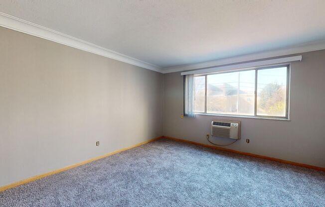 Studio, 1 bath, 500 sqft, $750, Unit 207