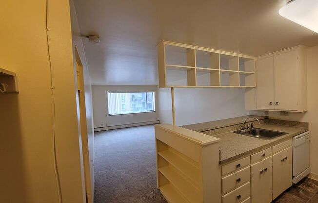 Studio, 1 bath, 415 sqft, $1,050, Unit 702