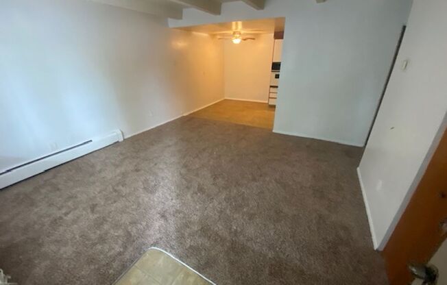 1 bed, 1 bath, 600 sqft, $1,199