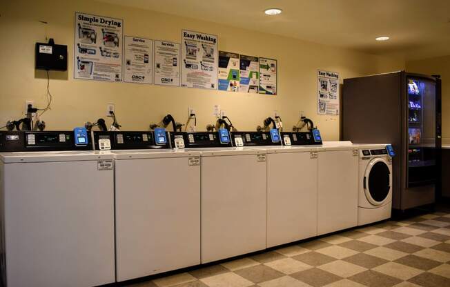 Welcome to Valerio Vista