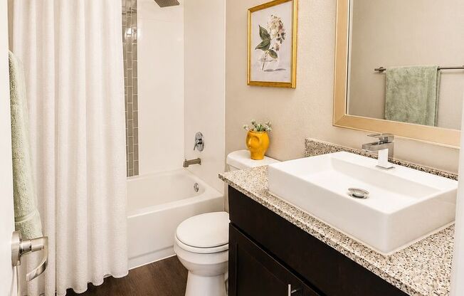 Studio, 1 bath, 222 sqft, $629, Unit 4308