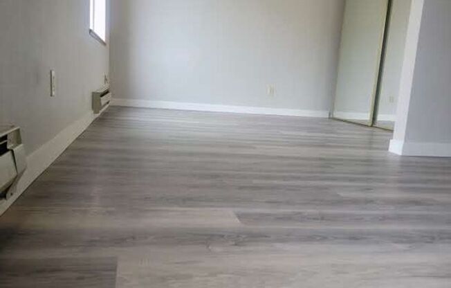 Studio, 1 bath, 441 sqft, $1,285, Unit 310