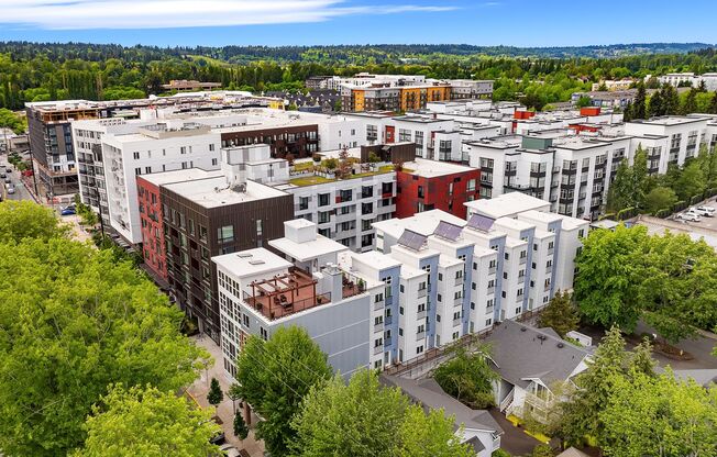 Studio, 1 bath, 186 sqft, $1,295, Unit 323