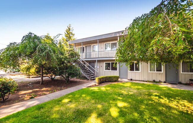 Peaceful Living Beneath the Fir Trees
