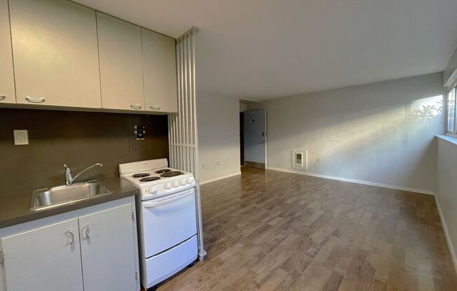 1 bed, 1 bath, 393 sqft, $1,150, Unit 106