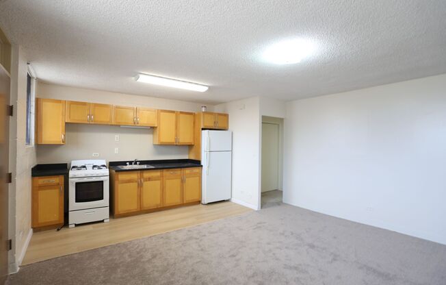 1 Bdrm/1 Bath/1 Prkg - $1,500