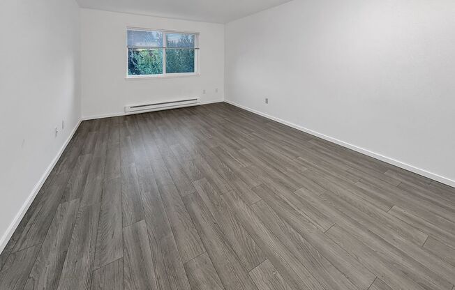 Studio, 1 bath, 410 sqft, $1,295, Unit 408