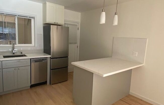 1 bed, 1 bath, $2,995, Unit 1