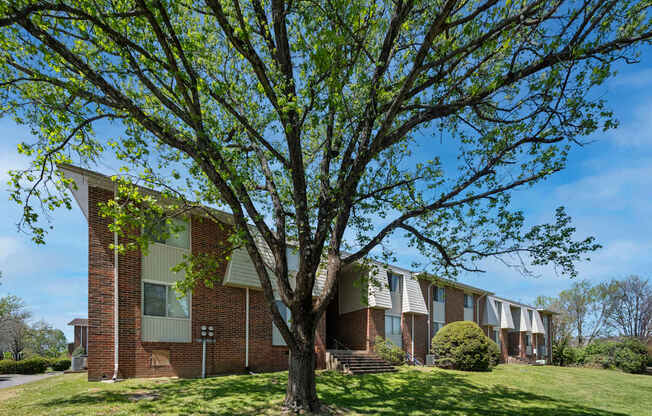 A tree in front of a building with a clear blue sky.