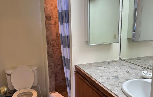 Studio, 1 bath, $1,700