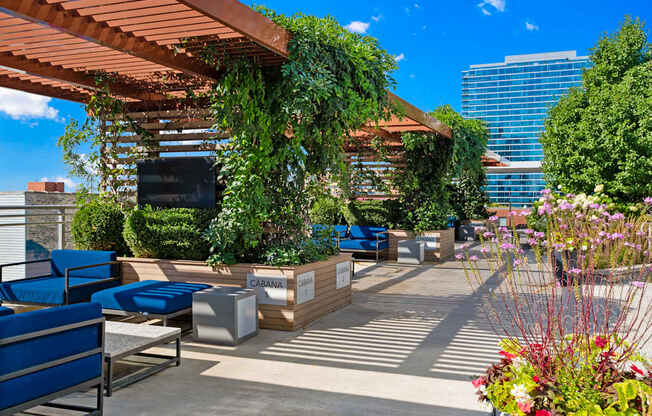 Relaxing Cabana with TV at 1001 South State, Illinois, 60605