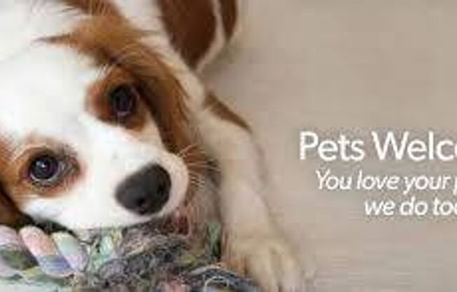 1 bed, 1 bath, 600 sqft, $1,450, Unit 24