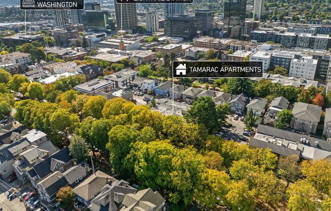 Studio, 1 bath, 400 sqft, $1,595, Unit 2026 Preleasing - Studio