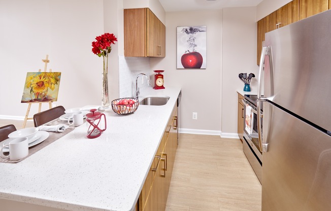 Newly Renovated With Quartz Counter Tops, Wood-Style Flooring and Stainless Steel Appliances