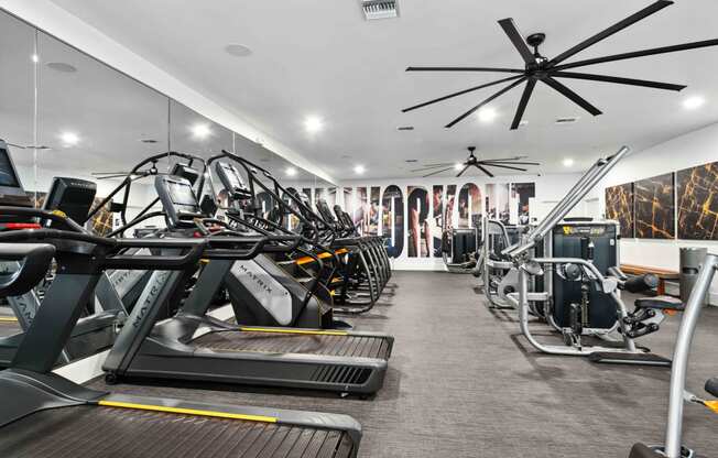 a row of treadmills and elliptical trainers in a gym