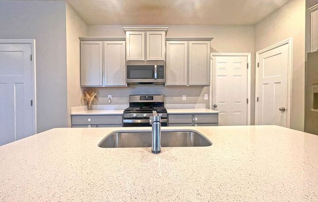 Shiny New 4 Bedroom Plus Loft-Office 2-story with 3 Car Garage and Fireplace is Pet-Friendly!