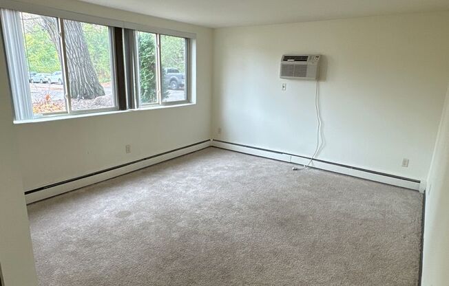 1 bed, 1 bath, 600 sqft, $870, Unit Unit 108