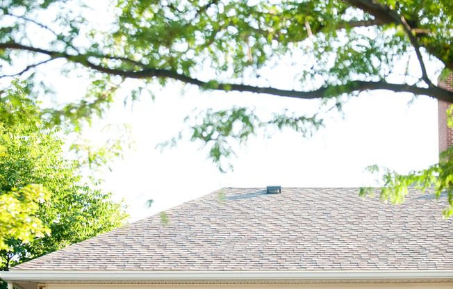 1 bed, 1 bath, 671 sqft, $1,559, Unit 28-28203