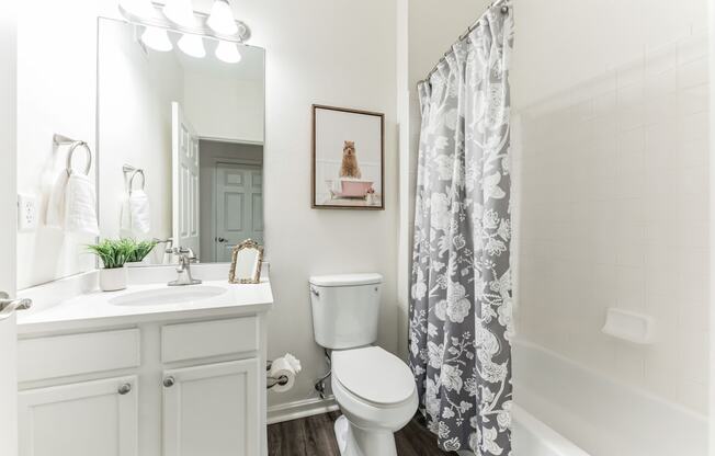 a white bathroom with a shower curtain and a toilet
