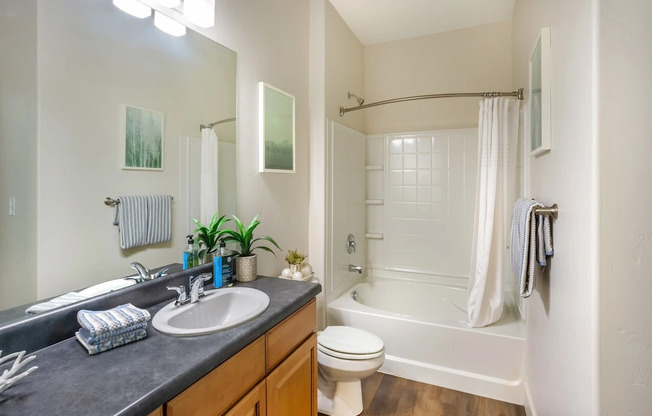 Bathroom with Soaking Tub at San Moritz