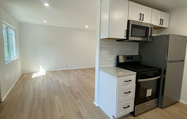 1 bed, 1 bath, 500 sqft, $1,900, Unit 1