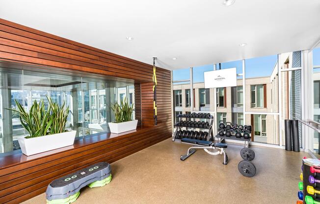 A light-filled fitness studio with free weights, functional training zones, and floor-to-ceiling windows that bring energy into every workout.