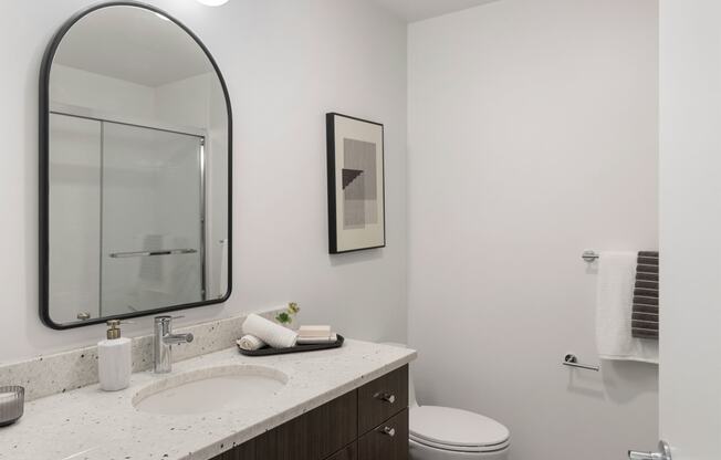a bathroom with a sink and a mirror and a toilet