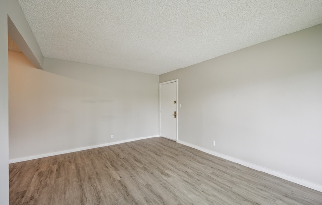 A room with a wooden floor and a white door.
