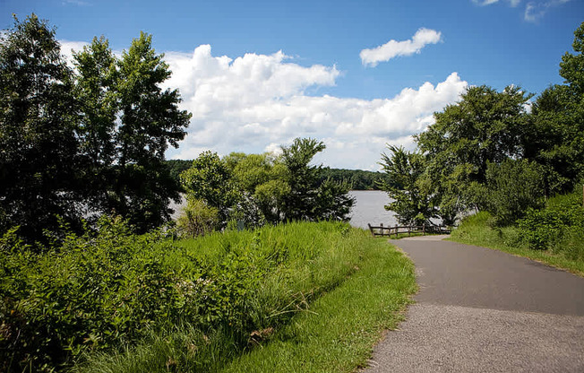 A pathway leads through a grassy area to a body of water.
