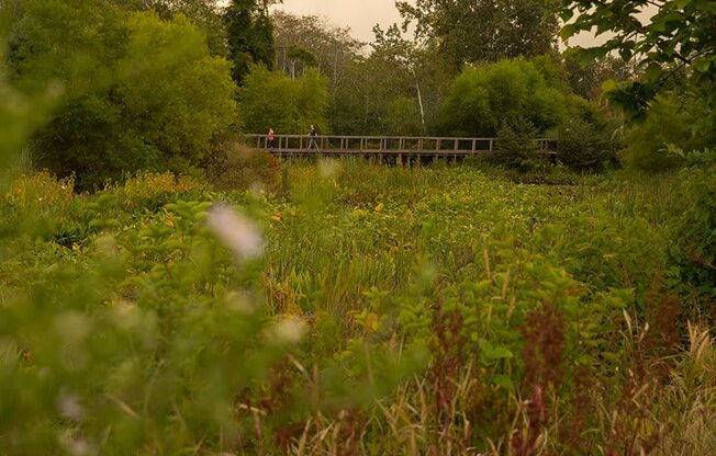 cambridge park apartment neighborhood