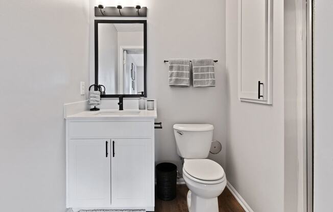 a bathroom with a toilet and a sink and a mirror