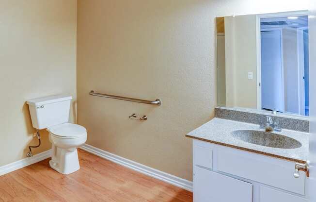 a bathroom with a toilet and a sink and a mirror