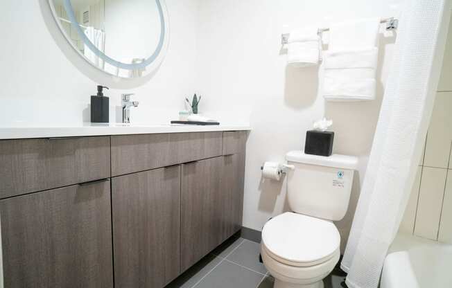 Spacious Bathrooms at 21 E Chestnut, Chicago, IL