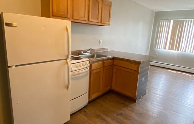 Studio, 1 bath, $1,000, Unit 2747113