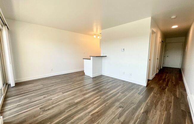 Studio, 1 bath, 370 sqft, $1,495, Unit 304