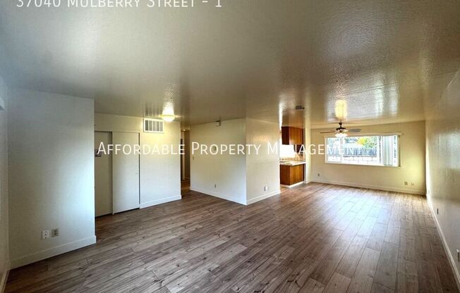 37040 Mulberry Street