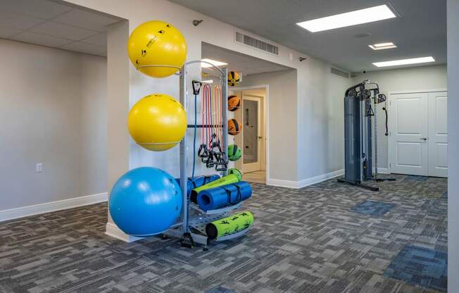 The Indigo |Clearwater, FL | Fitness Center
