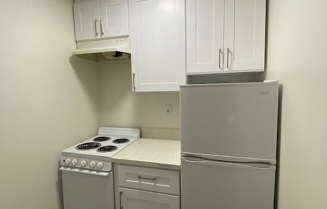 Studio, 1 bath, $2,095, Unit 315