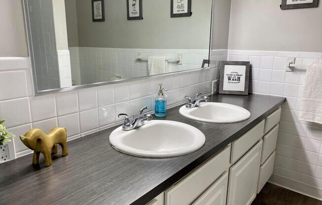 bathroom double sink in Kalamazoo MI